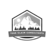 teakautoclaimsphoenix.com